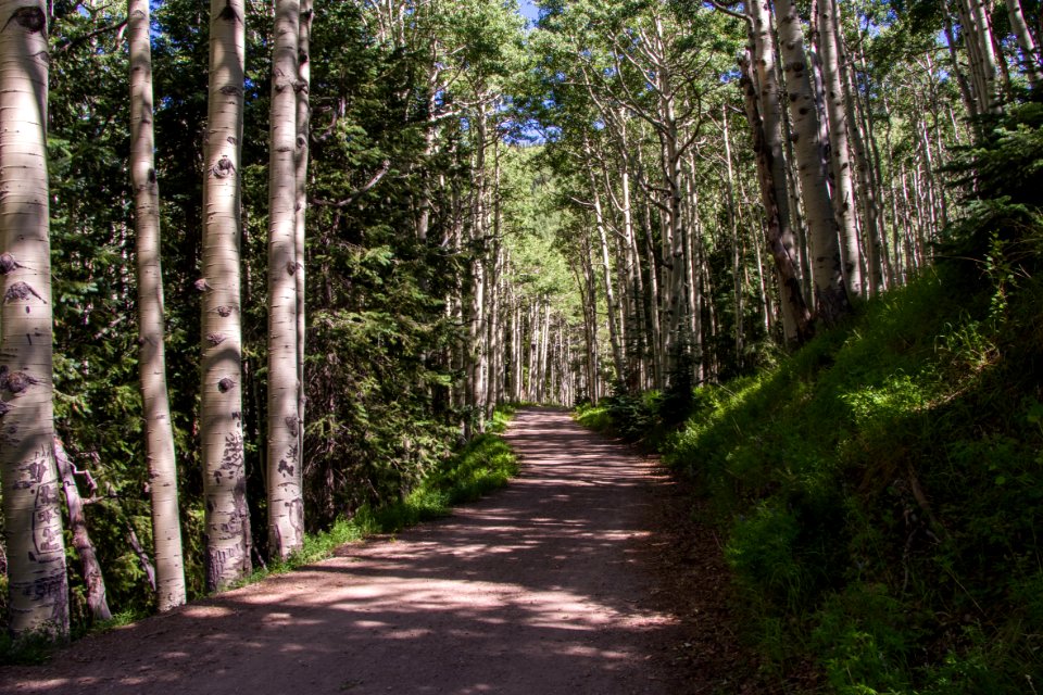 Inner Basin Trail No. 29