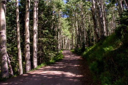 Inner Basin Trail No. 29