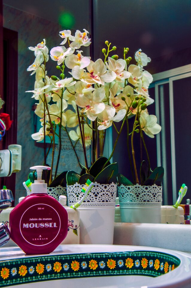 Home inside orchid