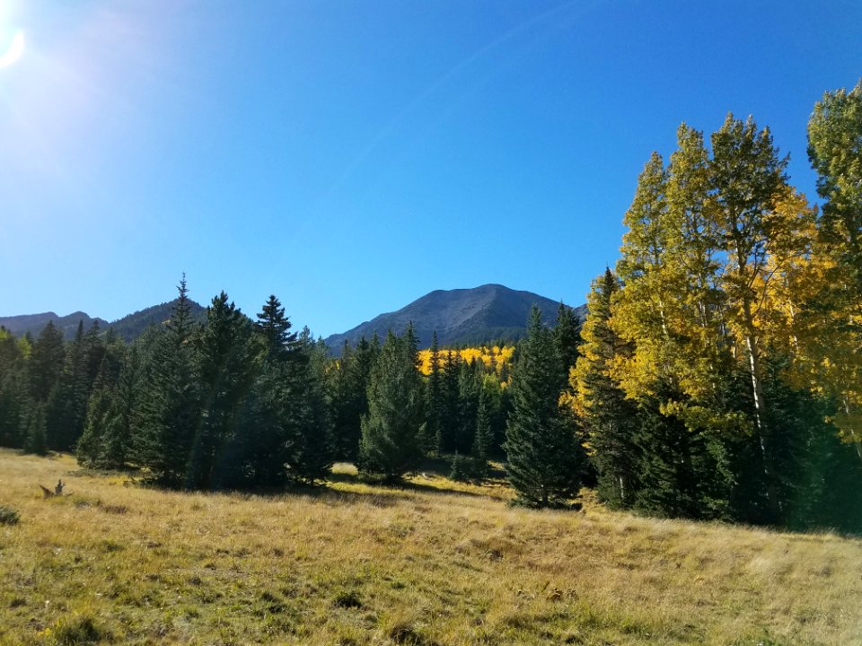 Inner Basin Trail