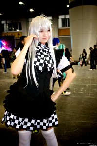 AniEx 2013 photo