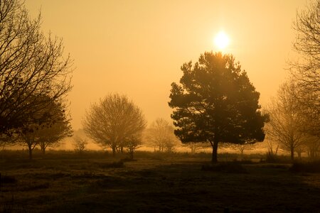 Sunrise hazy foggy photo