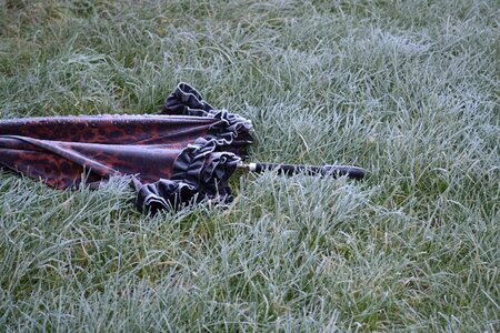 Frost cold gray umbrella