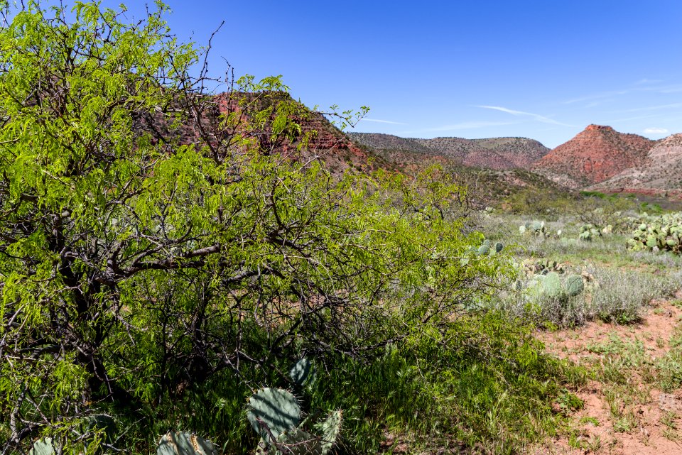 Sycamore Canyon Road