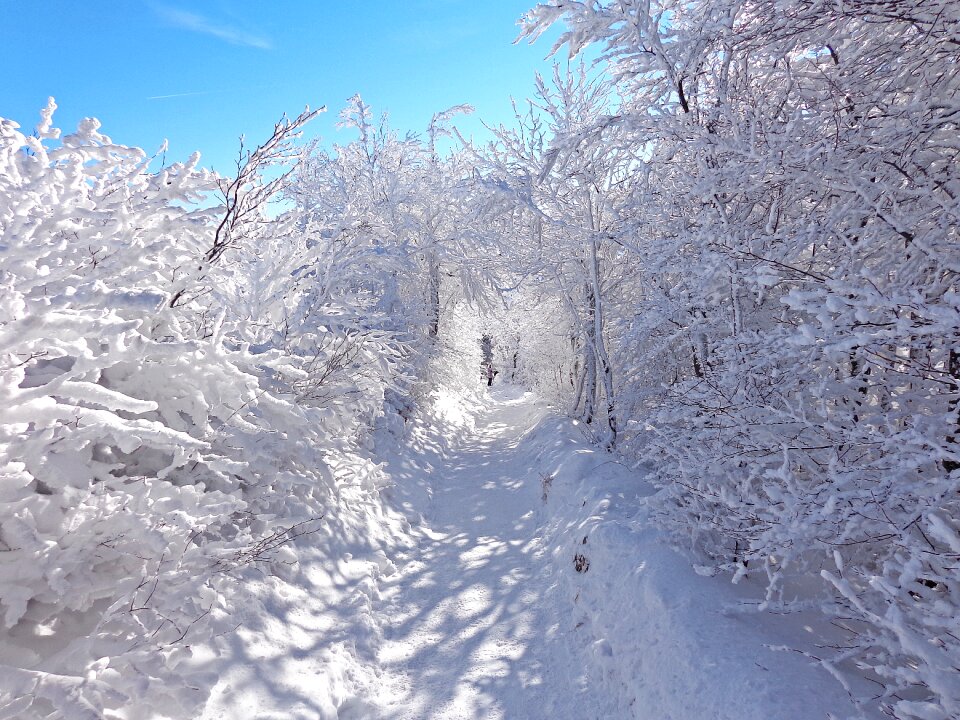 Frost landscape tourism