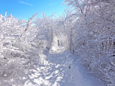 Frost landscape tourism photo