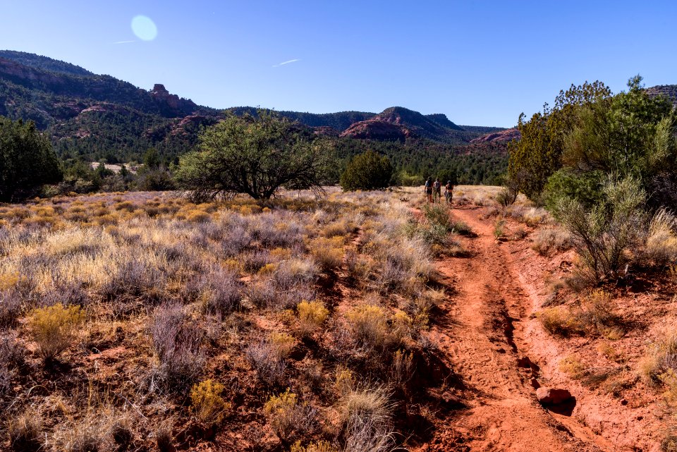 Turkey Creek Trail
