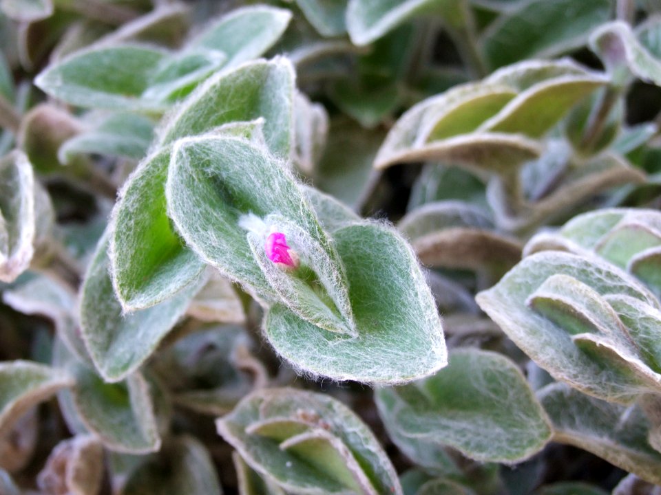 DSCF9059