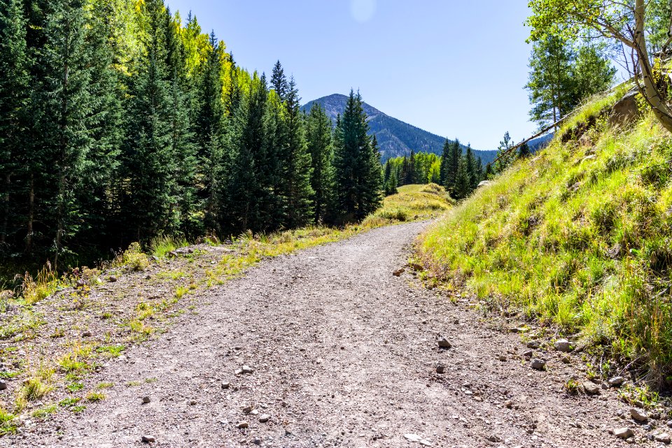 Inner Basin Trail