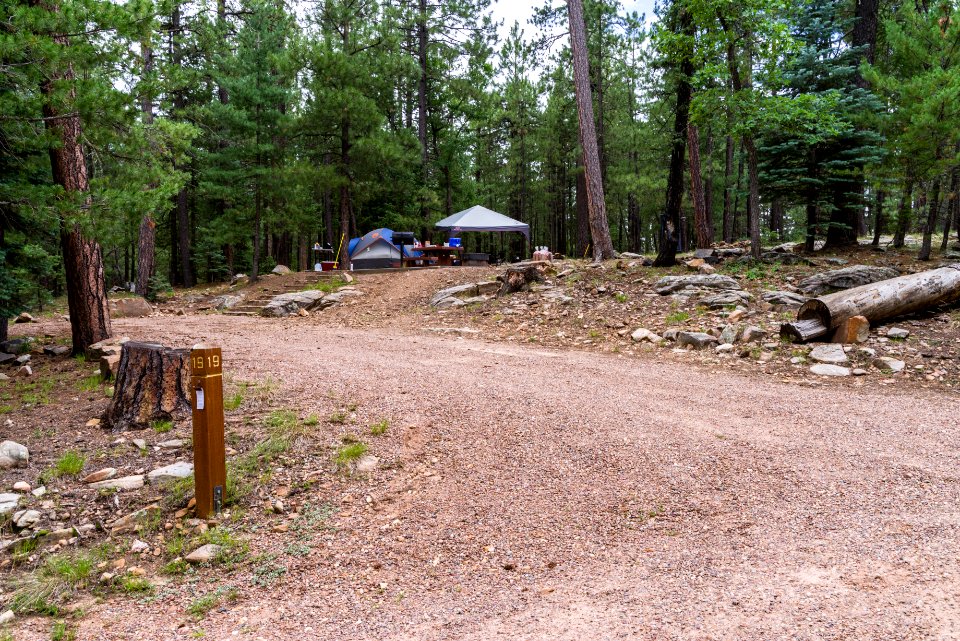 Knoll Lake Campground