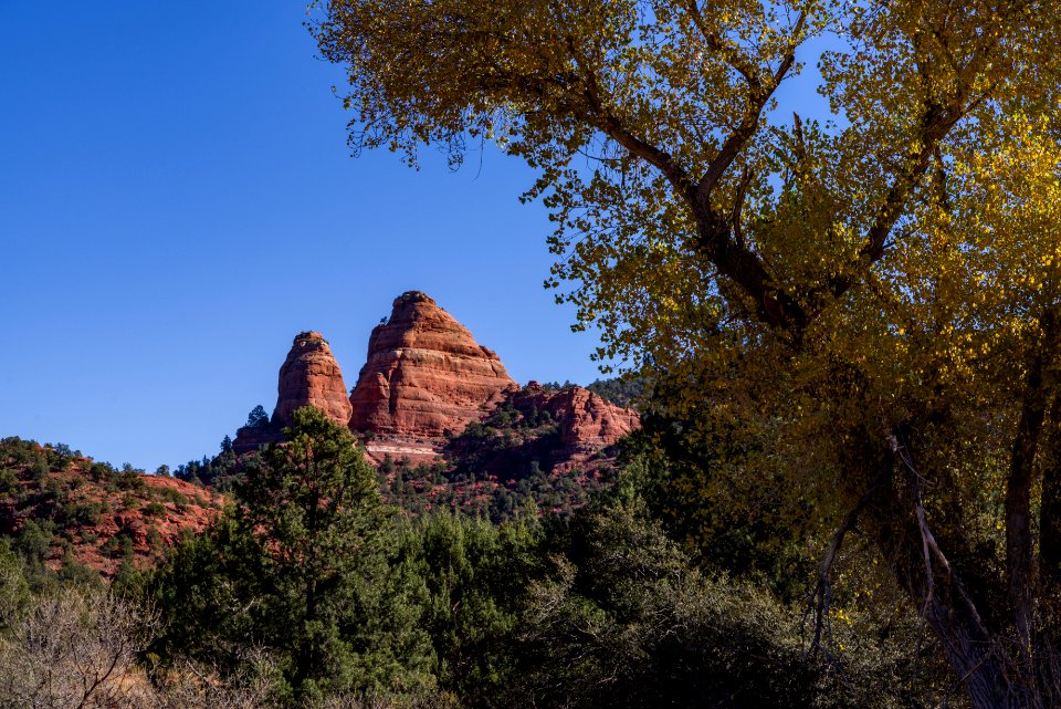 Turkey Creek Trail