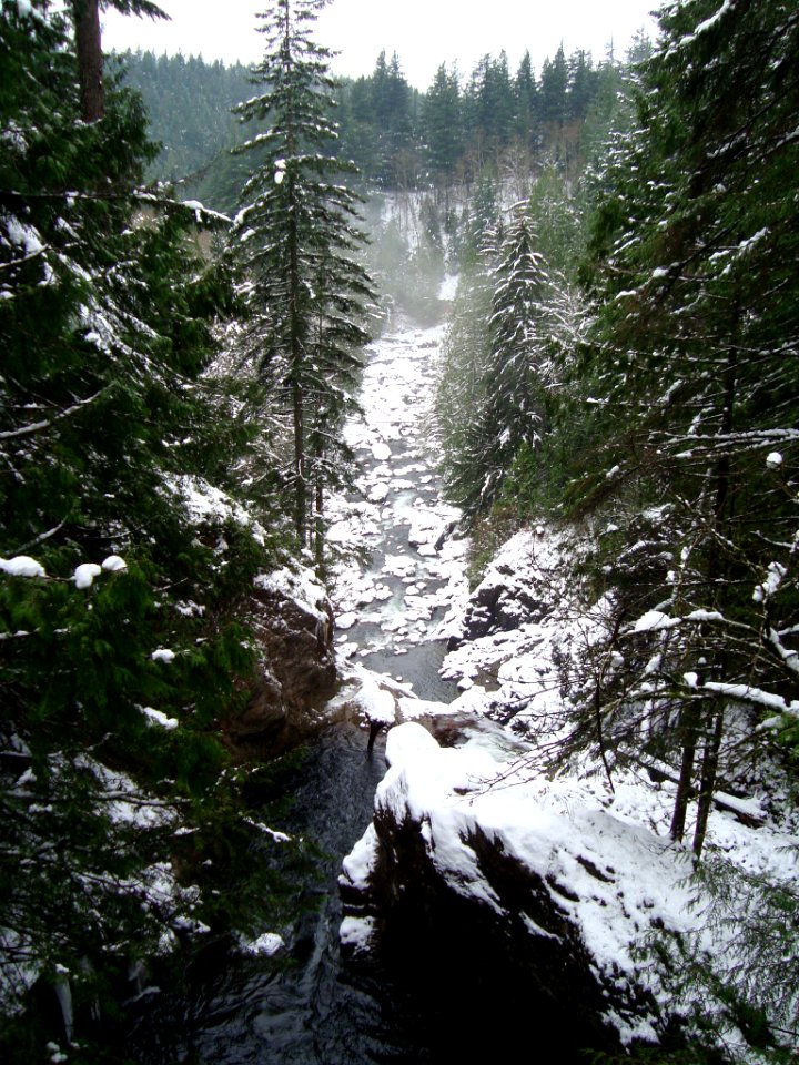 Snowy Twin Falls on Thanskgiving