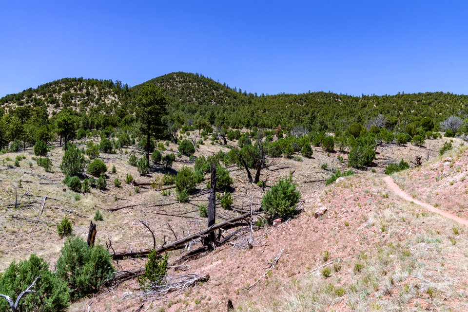 Slate Mountain Trail