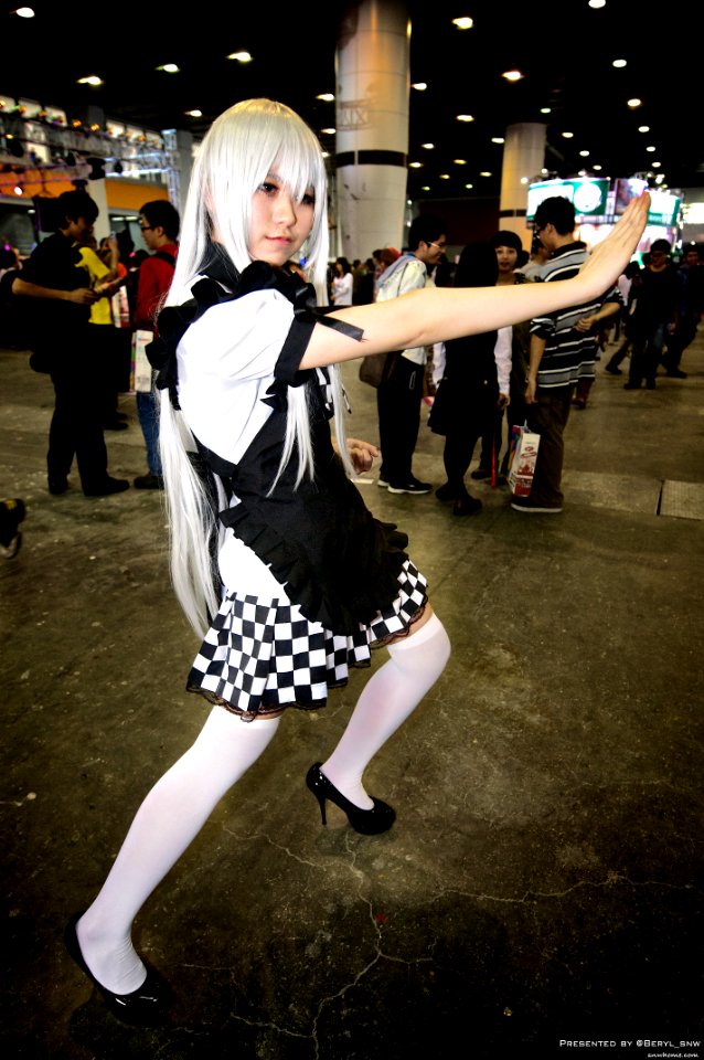 AniEx 2013
