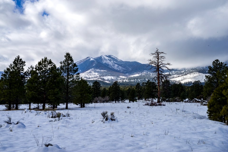 Winter in Bonito Park