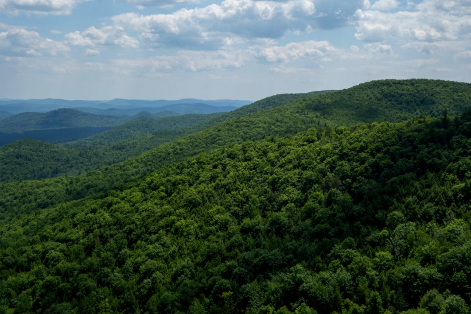 Lush, green, western Maine.