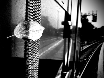 True Faith (Explore)
