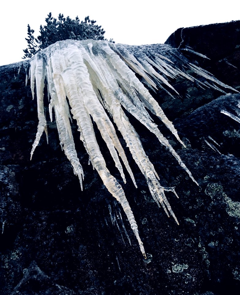 Jaws, Nuuksio National Park