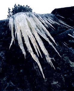 Jaws, Nuuksio National Park