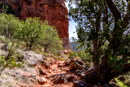 Bell Trail