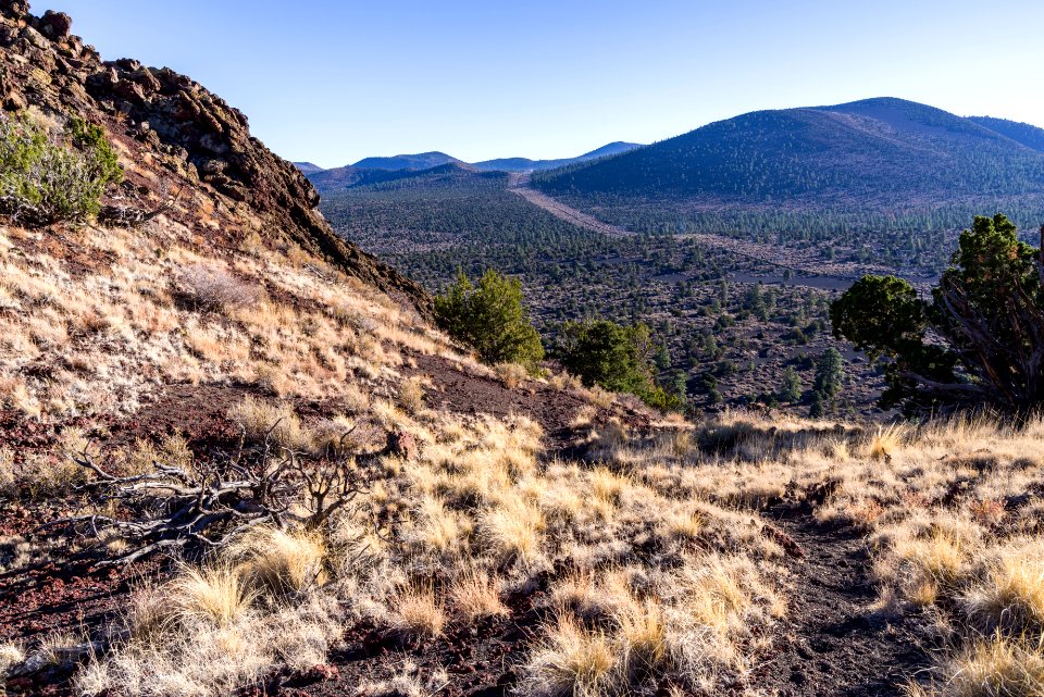 Strawberry Crater Trail