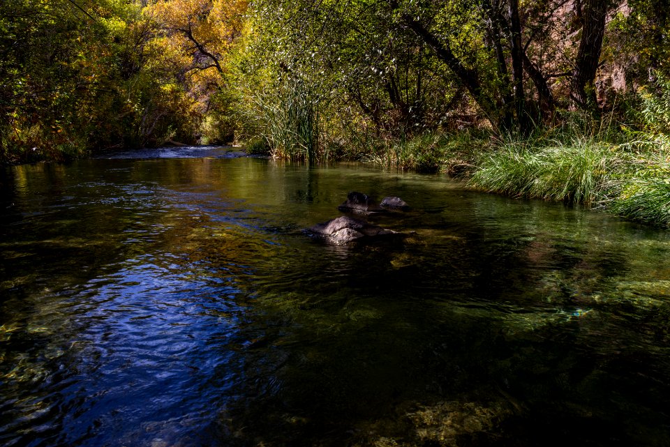 Waterfall Trail (November 14, 2017)