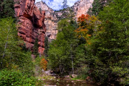West Fork of Oak Creek Canyon No. 108