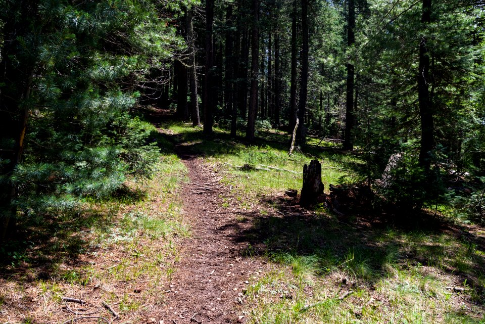 Barbershop Trail