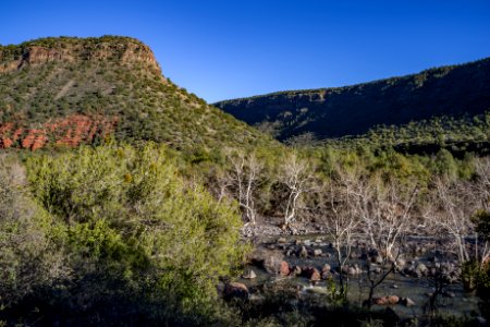 Woods Canyon Trail No. 93