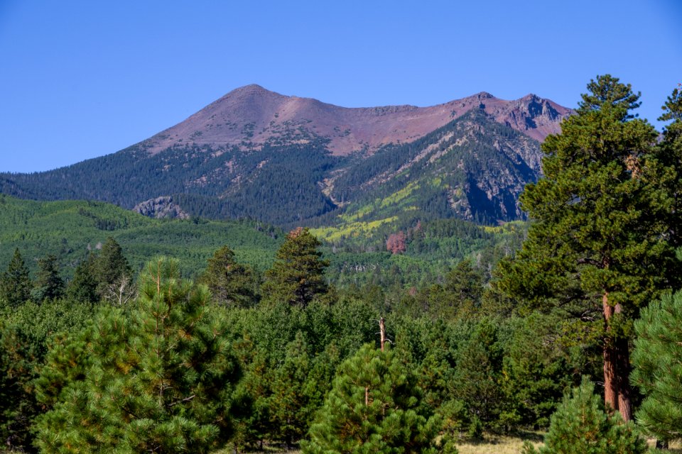 Lockett Meadow
