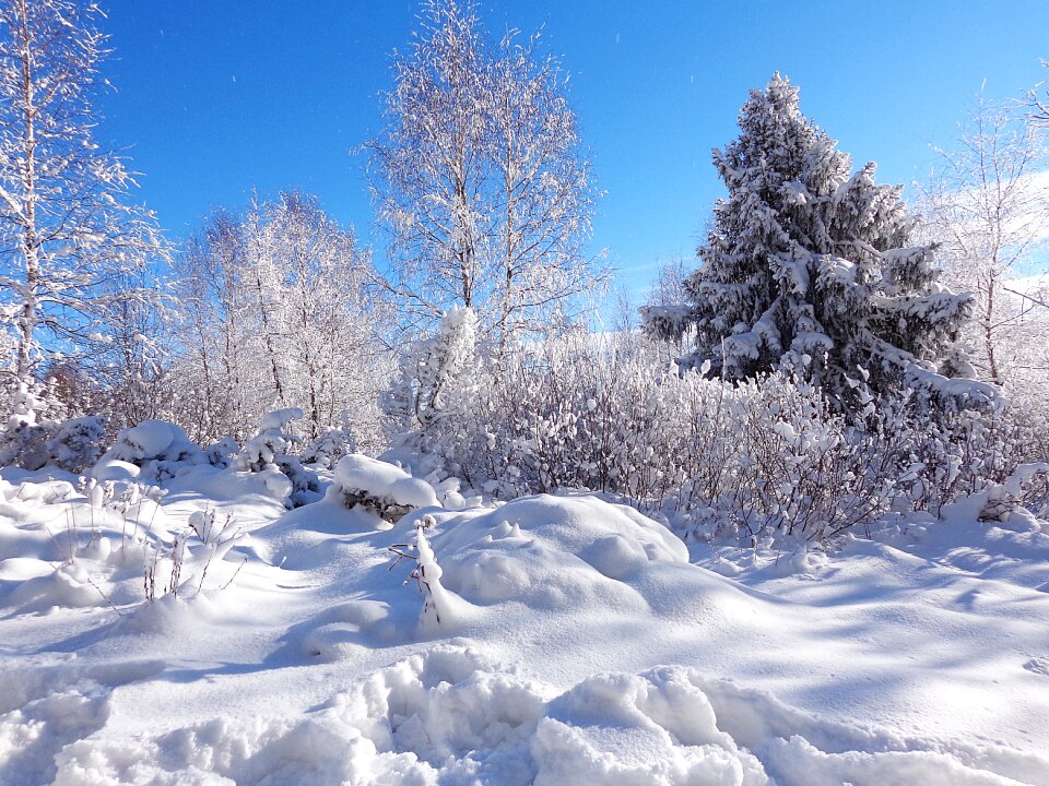 Frost landscape tourism