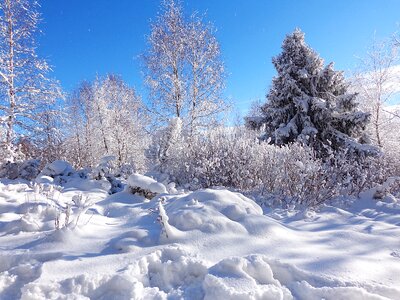 Frost landscape tourism photo