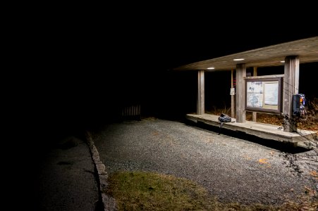 Spooky Bus Stop photo