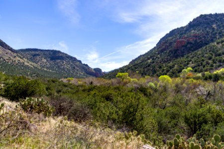 Bell Trail