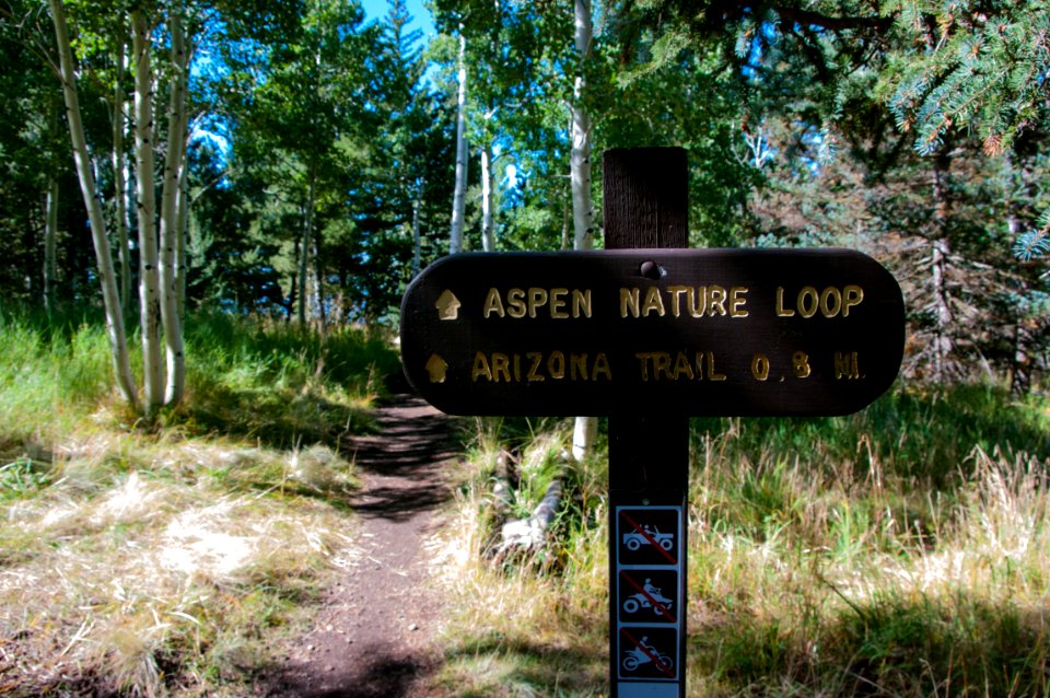 Aspen Loop Trail No. 73