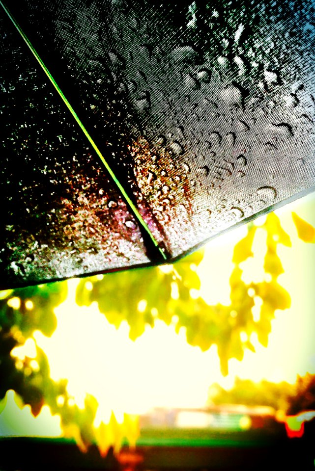 Summer Rain (Explore)