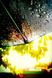 Summer Rain (Explore) photo