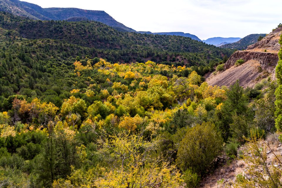 Flume Trail (November 13, 2017)