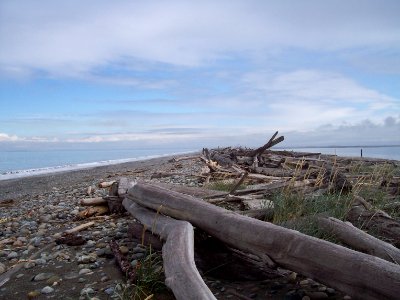 Dungeness Spit Preserve photo