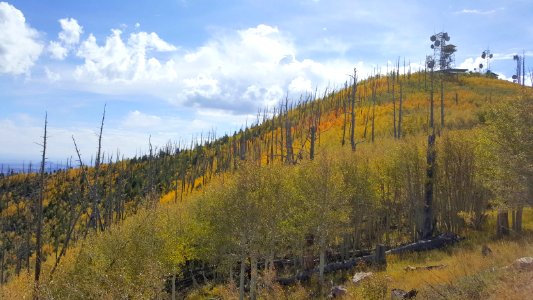 Mount Elden  (September 27, 2017)