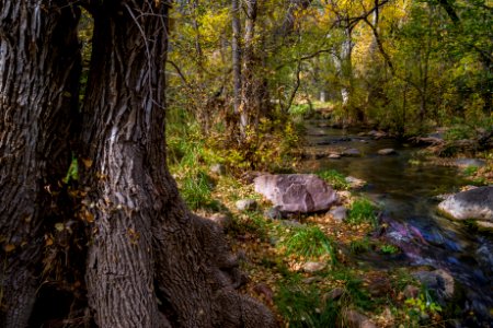 Fossil Springs (November 12, 2017)
