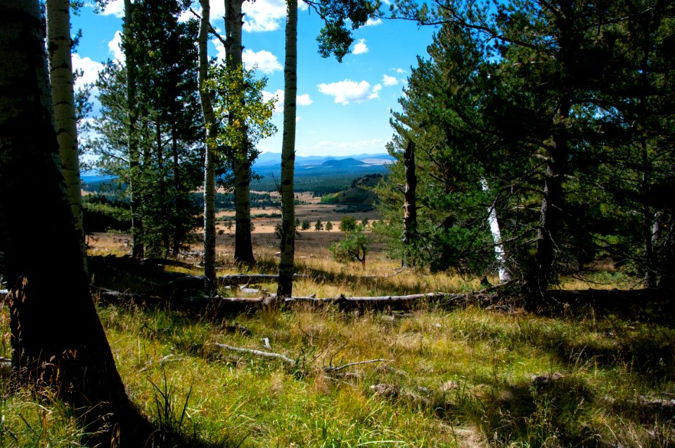 Arizona Trail Passage 34