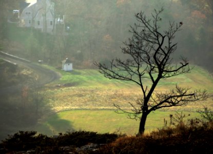 Lonely Tree Overlook photo