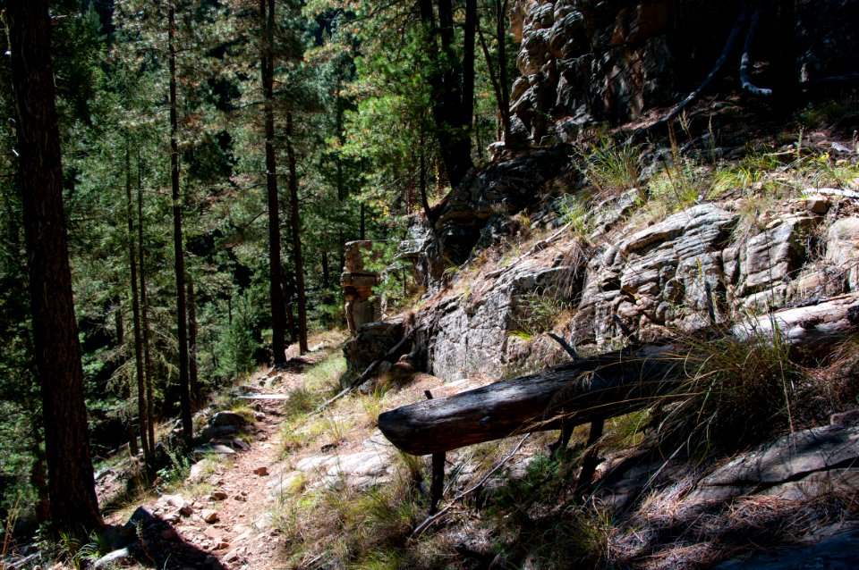 U-Bar Trail No. 28