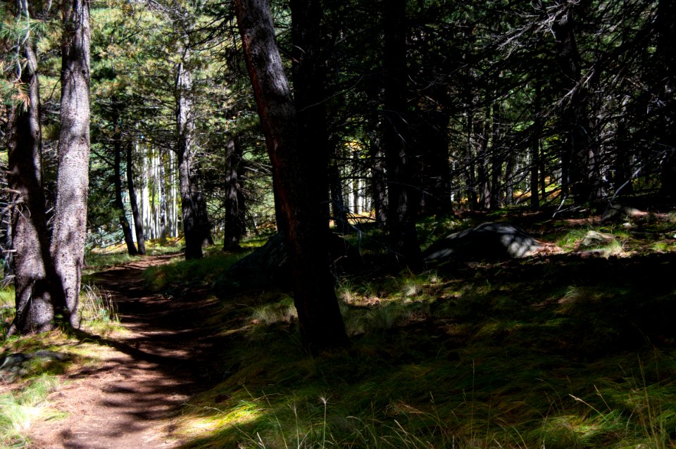 Arizona Trail Passage 34