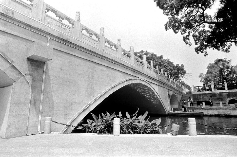 2011 :ILFORD PAN 100 Nikon FM2 [102]