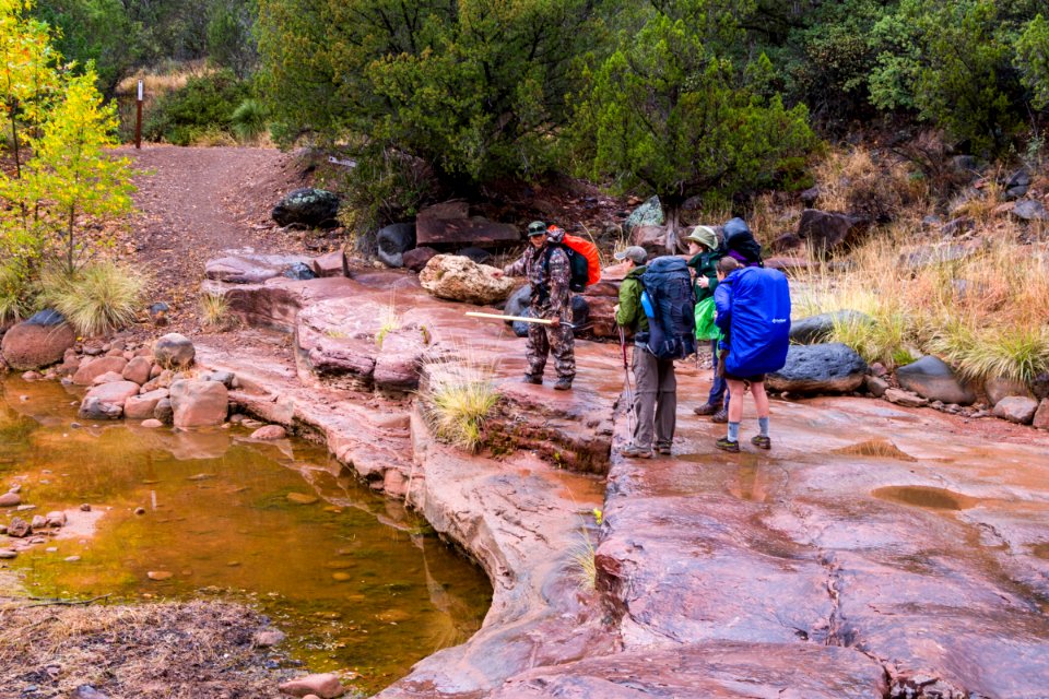 Fossil Springs Trail No. 18
