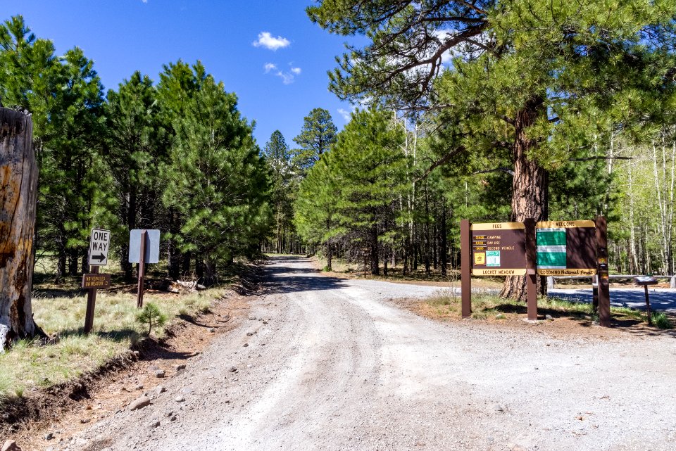Lockett Meadow