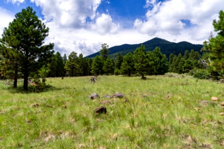 Weatherford Trail