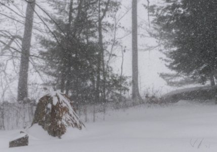 Winter Storm Juno